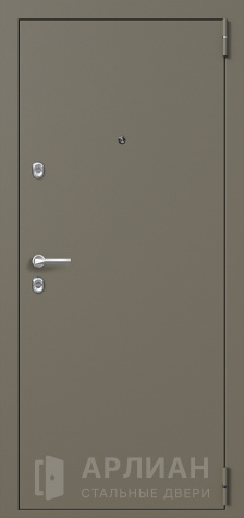 Фото «Входная дверь в квартиру с заполнением пенопластом и зеркалом №70»